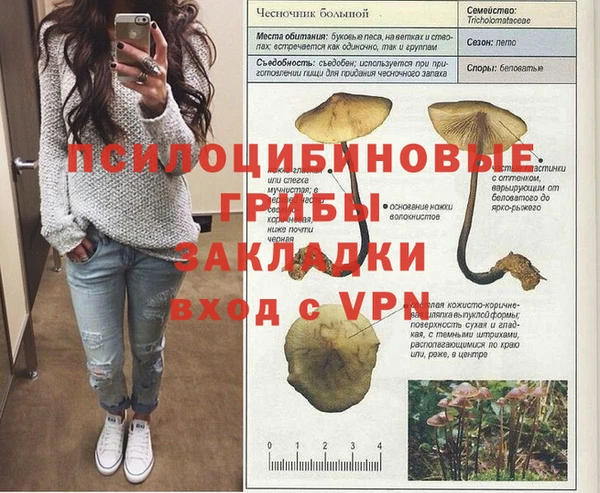 марки nbome Ветлуга