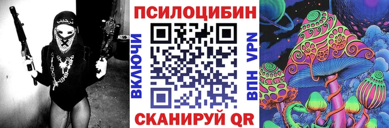 Купить  Белый  Галлюциногенные грибы Psilocybine cubensis 